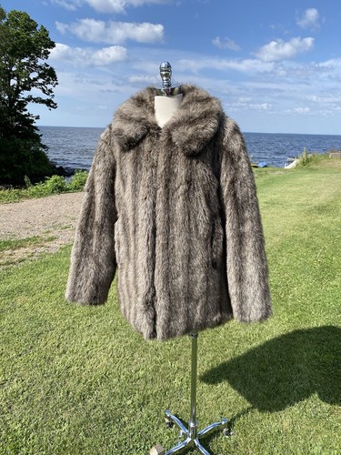 Vtg hansa branta - vtg, winter